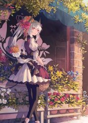 Rule 34 | 1girl, animal ears, bare shoulders, black pantyhose, blue flower, bow, brick wall, cat ears, commentary request, dress, flower, flower pot, flower shop, hair bow, hair flower, hair ornament, hanakotoba (group), hat, highres, holding, kaneblob, leaf, leggings, long hair, looking at viewer, open mouth, original, outdoors, pantyhose, pink flower, plant, potted plant, red eyes, shelf, shop, short hair, skirt, smile, solo, standing, very long hair, vines, white flower, white hair, window, yellow flower