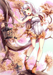 Rule 34 | 1girl, animal ears, autumn, autumn leaves, bare shoulders, cat ears, cat girl, cat tail, green eyes, hair ornament, highres, in tree, lantern, open mouth, orange footwear, original, packge, shoes, solo, star (symbol), star hair ornament, tail, tree, white hair