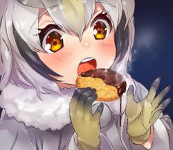 Rule 34 | 1girl, blonde hair, blush, buttons, chocolate, close-up, coat, cookie, eating, food, fur collar, gloves, grey hair, hair between eyes, kemono friends, long sleeves, multicolored hair, northern white-faced owl (kemono friends), open mouth, orange eyes, short hair, solo, steam, tadano magu, white coat, white hair, yellow gloves