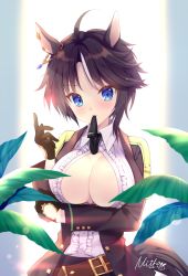 Rule 34 | 1girl, ahoge, animal ears, belt, black gloves, black hair, black jacket, blue eyes, breasts, brown belt, center frills, cleavage, closed mouth, collared shirt, commentary request, dated, dress shirt, frills, fuji kiseki (umamusume), gloves, hand up, highres, horse ears, horse girl, horse tail, jacket, medium breasts, mitha, mouth hold, multicolored hair, necktie, necktie in mouth, open clothes, open shirt, parted bangs, shirt, signature, solo, streaked hair, tail, umamusume, upper body, white hair, white shirt