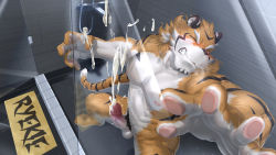 Rule 34 | 1boy, abs, animal ears, bara, beige fur, completely nude, cum, ejaculation, erection, facial hair, foot out of frame, foreshortening, furry, furry male, goatee, grin, highres, large pectorals, live a hero, looking at viewer, male focus, male pubic hair, mature male, muscular, muscular male, navel, nipples, no mask, nude, orange fur, pectorals, penis, projectile cum, pubic hair, ryekie (live a hero), short hair, skarltano, smile, solo, stomach, tail, thick eyebrows, tiger boy, tiger ears, tiger tail, twitching penis, uncensored