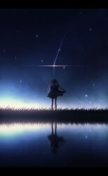 Rule 34 | 1girl, absurdres, from behind, grass, highres, nengoro, original, reflection, reflective water, scenery, sky, standing, star (sky), starry sky, twintails