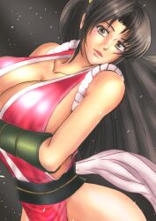 Rule 34 | 1girl, bare shoulders, breasts, brown eyes, brown hair, cleavage, fatal fury, large breasts, lips, long hair, ninja, nishi hazime01, pelvic curtain, ponytail, shiranui mai, sleeveless, the king of fighters, wide hips