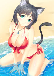 Rule 34 | 10s, 1girl, animal ears, arm support, bad id, bad pixiv id, bikini, black hair, bracelet, breasts, cat ears, cat tail, cleavage, front-tie top, green eyes, highres, jewelry, kirigaya suguha, large breasts, looking at viewer, partially submerged, pasdar, pendant, red bikini, shiny skin, short hair, sitting, smile, solo, swimsuit, sword art online, tail, wariza, water