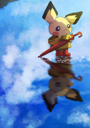 Rule 34 | animal, animal focus, blurry, boots, closed mouth, cloud, commentary request, creatures (company), frown, game freak, gen 2 pokemon, highres, holding, hood, hood down, looking away, misonikomiii, nintendo, no humans, outdoors, pichu, pokemon, pokemon (creature), rubber boots, raincoat, reflection, reflective water, rubber boots, shadow, sky, standing, umbrella