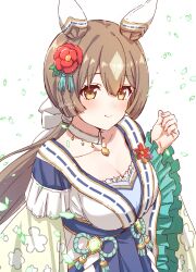 Rule 34 | 1girl, absurdres, animal ears, blue hakama, blush, breasts, brown hair, choker, cleavage, closed mouth, ear covers, flower, fuusuke (fusuke208), hair flower, hair ornament, hakama, hand up, highres, hip vent, horse ears, japanese clothes, kimono, long hair, long sleeves, looking at viewer, medium breasts, orange eyes, petals, satono diamond (floral star prosperous green) (umamusume), satono diamond (umamusume), simple background, smile, solo, twitter username, umamusume, upper body, white background, white kimono, wide sleeves