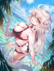 Rule 34 | 1girl, absurdres, ahoge, ass, belt, bikini, blush, breasts, butt crack, cleavage, cloud, dutch angle, fate/grand order, fate (series), from above, halterneck, highres, jeanne d&#039;arc alter (swimsuit berserker) (fate), jeanne d&#039;arc (fate), jeanne d&#039;arc alter (fate), jeanne d&#039;arc alter (swimsuit berserker) (fate), large breasts, long hair, medium breasts, o-ring, o-ring bikini, outdoors, pale skin, palm tree, partially submerged, ru 251, silver hair, skindentation, sky, smile, solo, standing, swimsuit, tree, very long hair, wet, yellow eyes