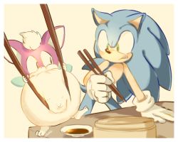 Rule 34 | 2boys, chip (sonic), chopsticks, dumpling, food, furry, furry male, gloves, green eyes, holding, holding chopsticks, male focus, multiple boys, sonic (series), sonic the hedgehog, sonic unleashed, table, tondamanuke, white gloves, wings