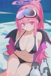 Rule 34 | 1girl, absurdres, animal, bikini, bird, black bikini, blue archive, breasts, calcite, cleavage, eimi (blue archive), eimi (swimsuit) (blue archive), feet out of frame, goggles, goggles on head, halo, highres, large breasts, long hair, navel, official alternate costume, penguin, pink eyes, pink hair, pink halo, ponytail, sitting, ski goggles, solo, swimsuit