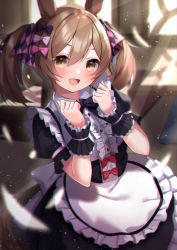 Rule 34 | 1girl, :d, amahara pekozaemon, animal ears, apron, black bow, black dress, blurry, blurry background, bow, brown eyes, brown hair, center frills, collared shirt, day, depth of field, dress, frilled apron, frills, hands up, highres, horse ears, horse girl, horse tail, indoors, looking at viewer, open mouth, puffy short sleeves, puffy sleeves, red bow, shirt, short sleeves, smart falcon (umamusume), smile, solo, sunlight, tail, twintails, umamusume, waist apron, white apron, white shirt, wrist cuffs