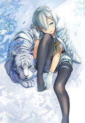 Rule 34 | 10s, 1girl, aqua eyes, black pantyhose, blue eyes, coat, eyes visible through hair, feet, fujita (condor), gloves, gradient background, grey skirt, hair ornament, hair over one eye, hairclip, hamakaze (kancolle), kantai collection, knee up, looking away, looking to the side, neckerchief, no shoes, on ground, pantyhose, parted bangs, pleated skirt, sailor collar, school uniform, serafuku, short hair, silver hair, sitting, skirt, snow, solo, tiger, toes, white coat, white gloves, white tiger, winter clothes, winter coat