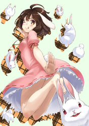 Rule 34 | 1girl, :d, ;q, ahoge, animal ears, bad id, bad pixiv id, bare legs, barefoot, blush, brown hair, buck teeth, dress, female focus, inaba tewi, looking back, one eye closed, open mouth, pink dress, pink skirt, rabbit, rabbit ears, rabbit girl, rabbit tail, short hair, skirt, smile, solo, tail, teeth, tongue, tongue out, too many, too many rabbits, touhou, unowen, wink, yellow eyes