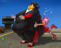 Rule 34 | 1boy, 1girl, amy rose, animal nose, belly, big belly, black fur, body fur, chaos emerald, day, double chin, dress, fat, fat man, fat rolls, furry, furry female, furry male, gold bracelet, heart, hedgehog, hedgehog ears, hedgehog girl, hug, hug from behind, multicolored footwear, multicolored fur, navel, obese, outdoors, pink fur, red dress, red eyes, red footwear, red fur, shadow the hedgehog, sonic (series), speech bubble, standing, thick arms, thick thighs, thighs, totesfleisch8, two-tone fur
