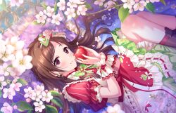 Rule 34 | 1girl, apple, bed, blush, boots, breasts, brown footwear, brown hair, dress, dutch angle, earrings, feet out of frame, flower, food, frilled dress, frills, fruit, game cg, hands up, holding, idolmaster, idolmaster cinderella girls, idolmaster cinderella girls starlight stage, jewelry, knees up, long hair, looking at viewer, lying, medium breasts, official art, on side, own hands together, parted bangs, parted lips, puffy short sleeves, puffy sleeves, purple eyes, red dress, short sleeves, solo, swept bangs, tsujino akari, white flower