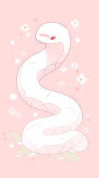 Rule 34 | absurdres, albino, animal, animal focus, anomimous, blush, floral background, highres, no humans, original, pink background, reptile, snake, white snake