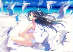 Rule 34 | 1girl, artist name, ass, bad id, bad pixiv id, barefoot, beach, between legs, bikini, bikini top only, bird, blue bikini, blue eyes, blue hair, blush, butt crack, carnelian, crossed legs, day, floating hair, frilled bikini, frilled bikini top, frills, from side, hand between legs, indian style, kantai collection, katsuragi (kancolle), long hair, looking at viewer, looking to the side, ocean, outdoors, ponytail, sand, seagull, shadow, sitting, sky, smile, solo, swimsuit, water, waves, wind