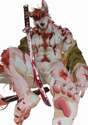 Rule 34 | 1boy, abs, absurdres, animal hands, bara, bare pectorals, blood, blood on clothes, blood on face, bloody weapon, body fur, bulge, cuts, feet, fluffy, foreshortening, full body, furry, furry male, highres, injury, japanese clothes, kimono, large pectorals, looking at viewer, male focus, male underwear, muscular, muscular male, navel, navel hair, nipples, no pants, open clothes, open kimono, original, pectorals, seato-hao, see-through, short hair, sitting, snout, soles, solo, stomach, tail, thick thighs, thighs, underwear, weapon, wet, wet clothes, wet male underwear, white male underwear, wolf boy, wolf tail