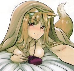 Rule 34 | 1girl, absurdres, animal ear fluff, animal ears, blanket, breasts, brown hair, fang, highres, holo, jewelry, koume keito, long hair, lying, medium breasts, necklace, nude, on stomach, pouch, reaching, red eyes, resized, spice and wolf, tail, third-party edit, under covers, upscaled, wolf ears, wolf girl, wolf tail