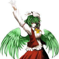 Rule 34 | 1girl, amatou3, arms up, colored eyelashes, feathered wings, female focus, green hair, highres, kazami yuuka, outstretched hand, plaid, plaid vest, red eyes, seihou, short hair, slit pupils, solo, touhou, transparent background, vest, wings