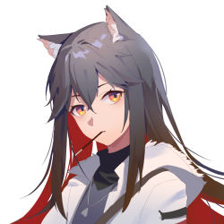 Rule 34 | 1girl, animal ear fluff, animal ears, arknights, black hair, black shirt, brown hair, cat ears, eyebrows hidden by hair, food, food in mouth, hair between eyes, heart, heart necklace, highres, hood, hood down, hooded jacket, hua ye, jacket, jewelry, long hair, looking at viewer, mouth hold, multicolored hair, necklace, official alternate costume, open clothes, open jacket, orange hair, parted lips, pocky, red hair, shirt, simple background, solo, texas (arknights), texas (winter messenger) (arknights), two-tone hair, upper body, white background, white jacket