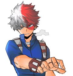 Rule 34 | 1boy, blue eyes, boku no hero academia, breath, burn scar, commentary request, grey eyes, grey hair, heterochromia, high collar, highres, kai2 ly, looking at viewer, male focus, multicolored hair, outstretched arm, red hair, scar, scar on face, short hair, short sleeves, signature, simple background, solo, split-color hair, todoroki shouto, two-tone hair, upper body, white background