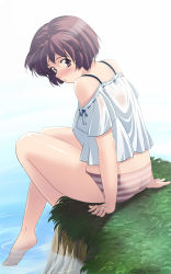 Rule 34 | 1girl, ass, barefoot, blush, camisole, feet, female focus, grass, looking back, nature, nishiyama maruta, no pants, outdoors, panties, purple eyes, purple hair, short hair, sitting, soaking feet, soles, solo, striped clothes, striped panties, toes, underwear, water