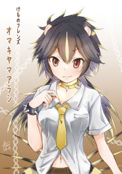 Rule 34 | 1girl, animal ears, arm at side, bare arms, black hair, blonde hair, bracelet, brazilian porcupine (kemono friends), breast pocket, character name, chiki yuuko, closed mouth, collar, collared shirt, copyright name, dated, grey hair, hair between eyes, hand up, jewelry, kemono friends, long hair, looking at viewer, multicolored hair, navel, necktie, pocket, porcupine ears, red eyes, shirt, short sleeves, skirt, smile, solo, spiked bracelet, spiked collar, spikes, stomach, streaked hair, upper body, white shirt, wing collar, yellow necktie