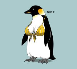 Rule 34 | animal focus, artist name, bikini, bird, blue background, breasts, breasts apart, commentary, emperor penguin, english commentary, full body, highres, medium breasts, no humans, original, penguin, pikat, simple background, solo, standing, swimsuit, yellow bikini