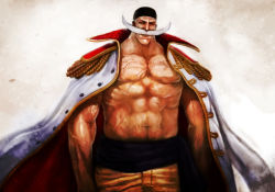 Rule 34 | 1boy, bandana, edward newgate, facial hair, jacket, jacket on shoulders, looking at viewer, male focus, muscular, mustache, one piece, pants, pirate, sash, scar, simple background, solo, standing, white pants