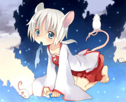 Rule 34 | 1girl, all fours, animal ears, barefoot, blue eyes, intertwined tails, kito (sorahate), mouse (animal), mouse ears, mouth hold, new year, short hair, sky, solo, star (symbol), tail, white hair