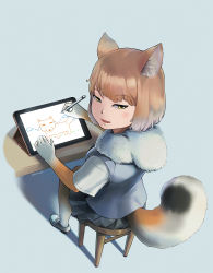 Rule 34 | 1girl, animal ears, beleven, blue background, bodystocking, brown hair, drawing, fox ears, fox girl, fox tail, from above, from behind, full body, fur collar, grey hair, highres, holding, kemono friends, layered sleeves, long sleeves, looking at viewer, looking back, looking up, medium hair, miniskirt, multicolored hair, open mouth, pleated skirt, shirt, short over long sleeves, short sleeves, simple background, sitting, skirt, smile, solo, stool, stylus, tablet pc, tail, tibetan fox (kemono friends), tsurime, twitter username, two-tone hair, vest, yellow eyes