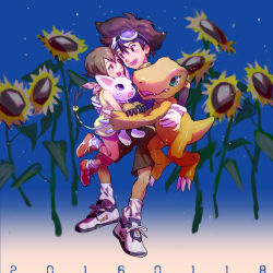 Rule 34 | agumon, araka101, blouse, blue background, blue shirt, brother and sister, brown hair, digimon, digimon (creature), digimon adventure, fangs, flower, gloves, goggles, goggles on head, green eyes, hug, looking at another, open mouth, shirt, siblings, sleeveless, sleeveless shirt, socks, tailmon, white gloves, yagami hikari, yagami taichi, yellow shirt