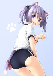 Rule 34 | 1girl, :d, animal ear fluff, animal ears, ass, bad id, bad pixiv id, bell, black bow, black buruma, blue background, blush, bow, buruma, cat ears, cat girl, cat tail, commentary request, fang, gym shirt, gym uniform, hair between eyes, hair bow, hand up, highres, jingle bell, looking at viewer, looking back, open mouth, original, paw pose, puffy short sleeves, puffy sleeves, purple eyes, purple hair, red ribbon, ribbon, shibacha, shirt, short sleeves, sidelocks, simple background, smile, solo, tail, tail ornament, tail ribbon, twintails, white shirt