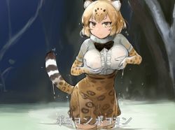 Rule 34 | 10s, 1girl, aimitsu (ibityuttyu), animal ears, blonde hair, blush, bow, bowtie, breast hold, breasts, cat ears, cat tail, center frills, commentary, elbow gloves, frills, fur collar, gloves, jaguar (kemono friends), jaguar ears, jaguar print, jaguar tail, kemono friends, large breasts, looking at viewer, parody, partially submerged, grabbing own breast, shirt, short hair, skirt, smile, soaking feet, solo, tail, thighhighs, tree, wading, water, wet, wet clothes, wet hair, wet shirt, yellow eyes