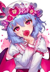 Rule 34 | 1girl, ainy, arm ribbon, artist name, bat wings, blue hair, blush, bow, commentary, covered mouth, dress, flower, frilled shirt collar, frills, hair between eyes, hand up, hat, hat bow, hat flower, head tilt, heart, highres, juliet sleeves, long sleeves, looking at viewer, mob cap, nail polish, petals, pink flower, puffy sleeves, red bow, red eyes, red flower, red nails, red rose, red sash, remilia scarlet, ribbon, rose, sash, short hair, simple background, solo, touhou, twitter username, upper body, white background, white dress, white hat, wings