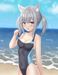 Rule 34 | 1girl, animal ear fluff, animal ears, beach, black one-piece swimsuit, blue archive, blue eyes, blue sky, breasts, chinese commentary, clothes pull, cloud, commentary request, competition swimsuit, covered navel, cross hair ornament, day, extra ears, fang, grey hair, groin, hair ornament, halo, highleg, highleg swimsuit, highres, horizon, low ponytail, medium breasts, medium hair, mismatched pupils, multicolored clothes, multicolored swimsuit, ocean, one-piece swimsuit, one-piece swimsuit pull, outdoors, shiroko (blue archive), shiroko (swimsuit) (blue archive), sky, solo, swimsuit, yudaneko
