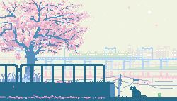 Rule 34 | animated, animated gif, bird, bridge, cat, cherry blossoms, city, cityscape, day, falling petals, fence, grass, lowres, no humans, original, outdoors, petals, pixel art, power lines, reflection, ripples, spring (season), toyoi yuuta, train, tree, utility pole, water