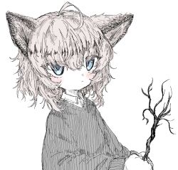 Rule 34 | 1girl, ahoge, alternate costume, animal ears, arknights, blue eyes, blush, branch, closed mouth, collared shirt, fox ears, fox girl, grey hair, grey sweater, highres, holding, holding branch, long sleeves, looking at viewer, reitoubeef, shirt, simple background, solo, sussurro (arknights), sweater, white background, white shirt