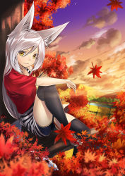 Rule 34 | 1girl, animal ears, autumn leaves, bad id, bad pixiv id, black thighhighs, cloud, fox ears, fox tail, leaf, looking at viewer, original, short shorts, shorts, silver hair, sitting, sky, smile, solo, striped, tail, thighhighs, tree, unowen, yellow eyes