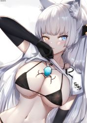 Rule 34 | 1girl, animal ear fluff, animal ears, bikini, black bikini, black gloves, blue eyes, blush, breasts, cleavage, closed mouth, clothes lift, commentary request, gloves, hair ornament, heterochromia, highres, lifting own clothes, long hair, looking at viewer, nekoya (liu), original, ponytail, shirt, shirt lift, short sleeves, simple background, solo, string bikini, swimsuit, upper body, white background, white hair, white shirt, yellow eyes