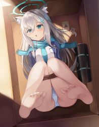Rule 34 | 1girl, 2021, animal ear fluff, animal ears, arms behind back, barefoot, bdsm, blue archive, blue eyes, bondage, bound, bound legs, box, cat ears, cat girl, feet, foot focus, foreshortening, grey hair, hair ornament, highres, in box, in container, looking at viewer, no shoes, open mouth, panties, restrained, rope, scarf, shiroko (blue archive), sira (user dswn7488), soles, solo, toes, underwear, white panties