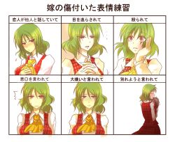 Rule 34 | 1girl, ^^^, abuse, ascot, bad end, bad id, bad pixiv id, blood, blush, bow, bruise, chart, decapitation, female focus, green hair, hand on own face, hurt expressions of your wife practice, injury, kazami yuuka, long hair, mkairou, multiple drawing challenge, own hands clasped, own hands together, plaid, plaid vest, red eyes, severed head, short hair, surprised, sweat, sweatdrop, touhou, translation request, upper body, vest, yandere