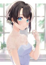 Rule 34 | 1girl, absurdres, black hair, blue dress, blue eyes, blush, breasts, cleavage, closed mouth, commentary request, dress, from side, gloves, hair ornament, hand up, highres, hololive, indoors, kabi akaru, looking at viewer, looking to the side, medium breasts, oozora subaru, plant, playing with own hair, potted plant, see-through, short hair, short sleeves, solo, upper body, virtual youtuber, white gloves, window