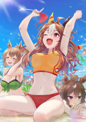 Rule 34 | 6+girls, ahoge, animal ears, arms up, bikini, breasts, brown hair, cleavage, clenched hand, closed eyes, closed mouth, cloud, copano rickey (umamusume), fang, flag, glint, green bikini, hand in own hair, haru urara (umamusume), highres, holding, holding flag, horse ears, horse girl, horse tail, index finger raised, large breasts, lens flare, long hair, medium breasts, medium hair, mihono bourbon (umamusume), multicolored hair, multiple girls, nabe puyo, navel, open mouth, outdoors, ponytail, red eyes, rice shower (umamusume), sakura bakushin o (umamusume), sand, shinko windy (umamusume), sitting, skin fang, smile, solo focus, sparkle, string of flags, sweat, swimsuit, taiki shuttle (umamusume), tail, two-tone hair, umamusume