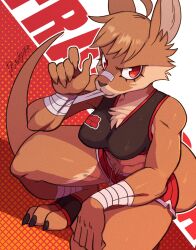 1girl artist_name black_sports_bra breasts closed_mouth drawligator furry furry_female highres kangaroo_ears kangaroo_girl kangaroo_tail large_breasts looking_at_viewer muscular muscular_female original red_eyes red_shorts shorts solo sports_bra tomboy