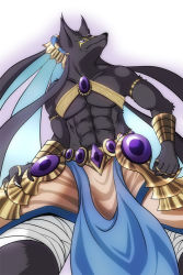 Rule 34 | animal ears, anubis (p&amp;d), fur, jewelry, lots of jewelry, purple eyes, puzzle &amp; dragons, wolf ears