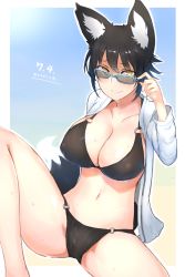 Rule 34 | 1girl, adjusting eyewear, animal ears, bikini, black bikini, black hair, breasts, cleavage, dated, covered erect nipples, fox ears, fox tail, ganesagi, highres, large breasts, looking at viewer, looking over eyewear, nanashi (ganesagi), nanashi (shirogane usagi), navel, open clothes, open shirt, original, shirt, short hair, signature, simple background, sitting, smile, solo, spread legs, sunglasses, sweat, swimsuit, tail, yellow eyes