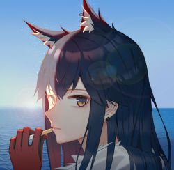Rule 34 | 1girl, absurdres, animal ear fluff, animal ears, arknights, black hair, blue sky, brown eyes, chinese commentary, cigarette, commentary request, day, earrings, extra ears, from side, gloves, gradient hair, highres, holding, holding cigarette, horizon, jewelry, long hair, looking at viewer, looking to the side, multicolored hair, ocean, official alternate costume, outdoors, parted lips, portrait, red gloves, red hair, revision, sky, smile, solo, syouko jiaozijun, texas (arknights), texas (winter messenger) (arknights), water