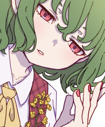 Rule 34 | 1girl, absurdres, ascot, close-up, collarbone, collared shirt, fingernails, flower, green hair, hair between eyes, highres, kame (kamepan44231), kazami yuuka, nail polish, one-hour drawing challenge, open mouth, portrait, red eyes, red nails, red vest, shirt, short hair, simple background, solo, touhou, vest, white background, white shirt, yellow ascot, yellow flower
