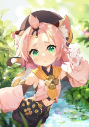 Rule 34 | 1girl, animal ear fluff, animal ears, backlighting, bangs pinned back, beret, blue shorts, blush, breasts, bridal gauntlets, cat ears, cat girl, cat tail, detached sleeves, diona (genshin impact), facial mark, forehead mark, genshin impact, gloves, green eyes, hat, highres, looking at viewer, navel, orange scarf, paw print palms, pink hair, pouch, puffy sleeves, scarf, shirt, short eyebrows, short hair, shorts, sleeveless, sleeveless shirt, small breasts, solo, sunrise929, tail, wading, water, white shirt
